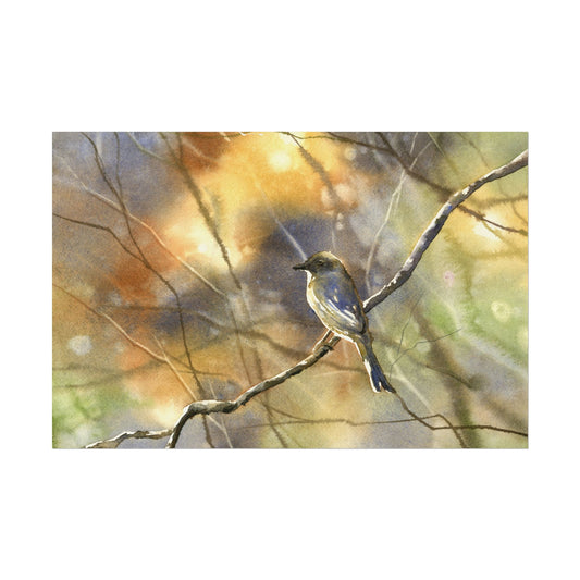 Bluebird sitting on branch colorful watercolor landscape bird home decor art for house handmade item forest painting wildlife poster