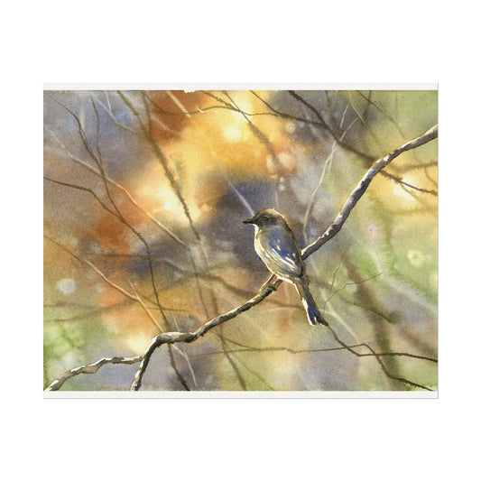 Bluebird sitting on branch colorful watercolor landscape bird home decor art for house handmade item forest painting wildlife poster