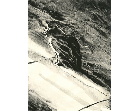 Cat monochromatic watercolor painting kids room decor handmade item mammal animal artwork feline print (original)