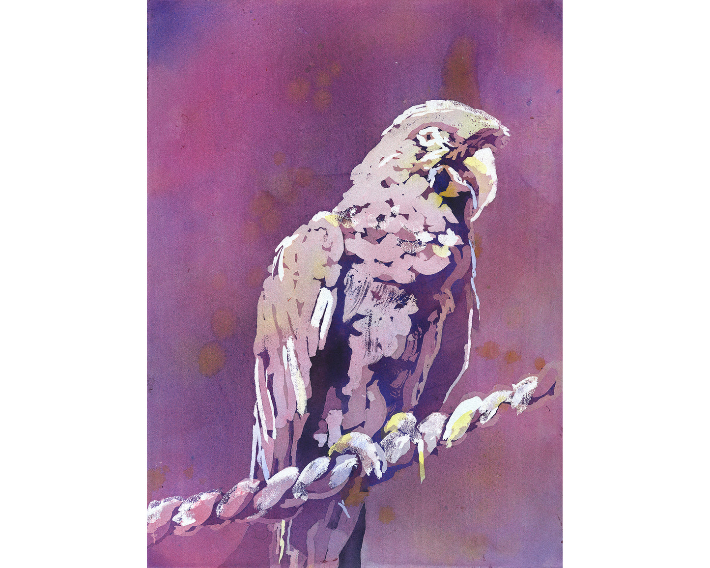 Macaw Watercolor Art Print – Colorful Bird Painting, Tropical Wall Decor, Fine Art for Kids Room, Jungle Landscape Home Interior (print)