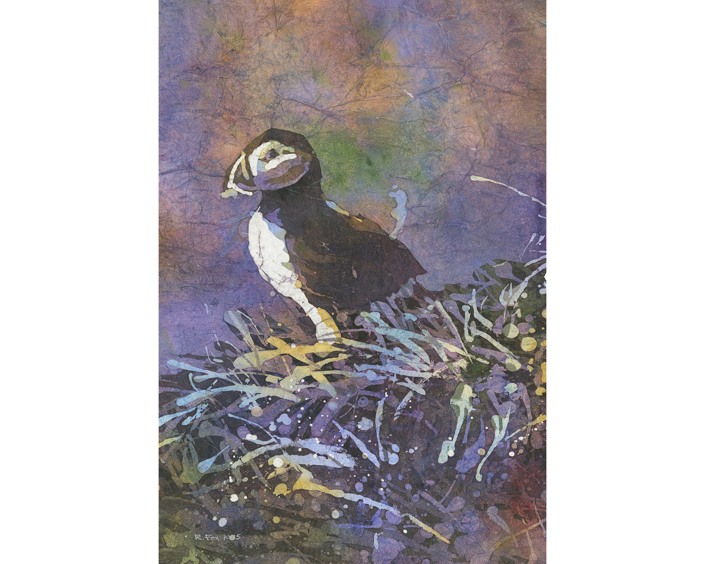Icelandic puffin fine art watercolor painting. Watercolor painting Puffin Iceland bird artwork (original painting)