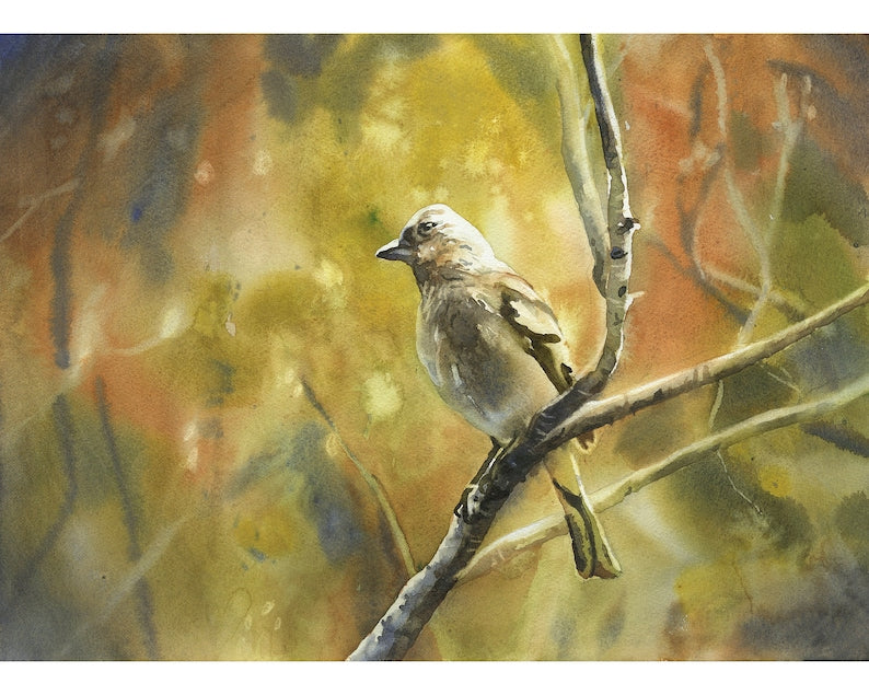 Bird sitting on branch brown green artwork. Small bird artwork home decor bokeh blurry background green nature artwork bird (original art)