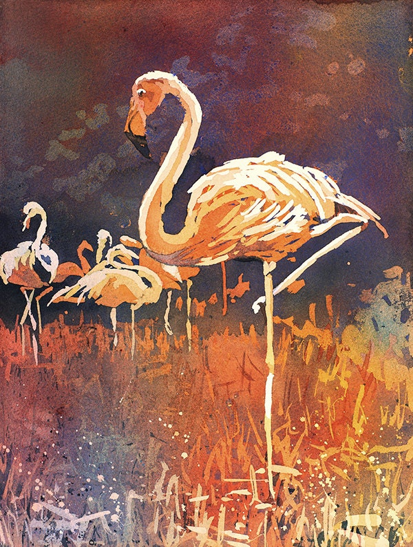 Pintura de acuarela de flamenco. Pintura de flamencos en el zoológico de Columbus, OH. Arte flamenco. Flamenco de pintura de acuarela (impresión)