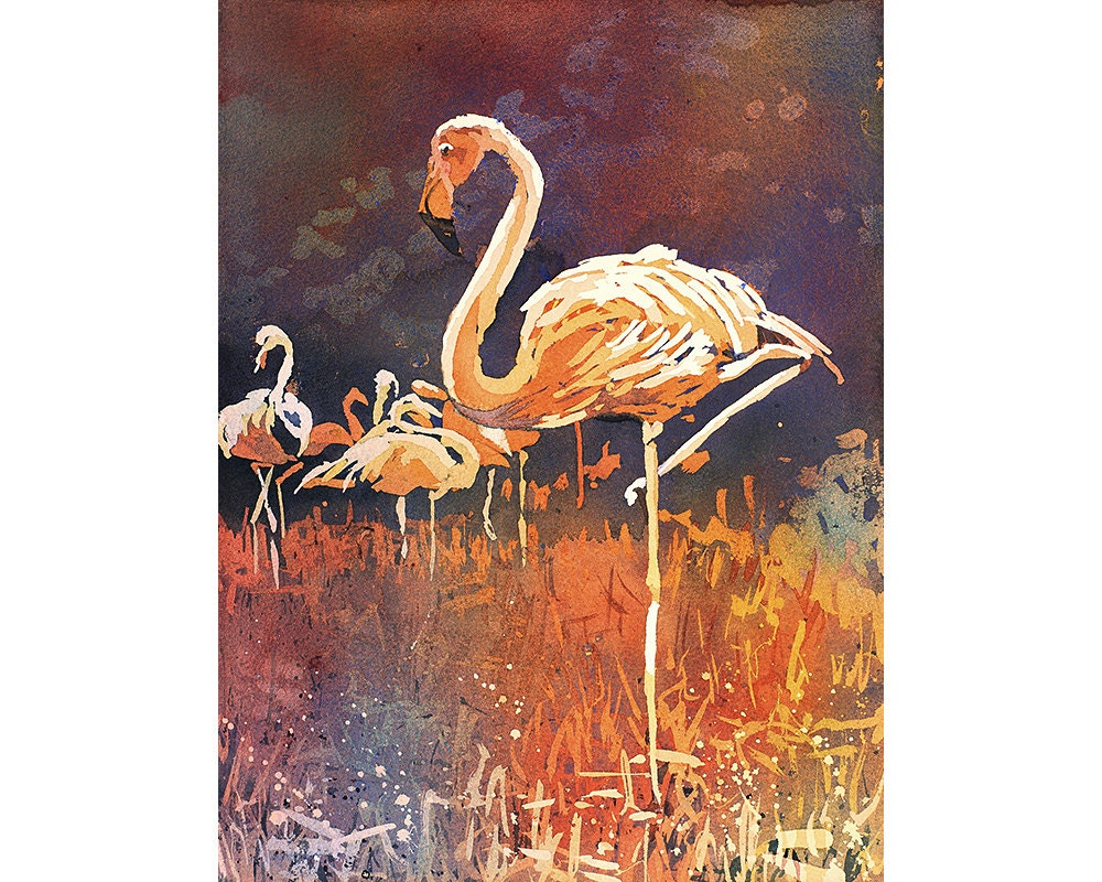 Pintura de acuarela de flamenco. Pintura de flamencos en el zoológico de Columbus, OH. Arte flamenco. Flamenco de pintura de acuarela (impresión)