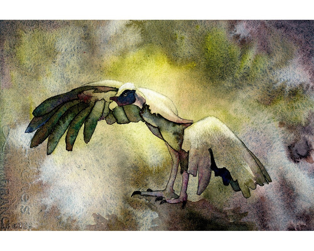 Pintura de acuarela de arte de aves de buitre africano con las alas extendidas, pintura de buitre colorido de arte de aves acuarela (impresión)