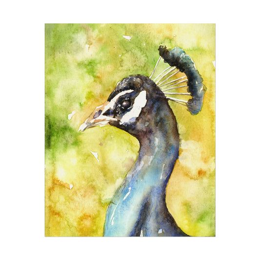 Peacock close-up portrait colorful watercolor handmade item Poster