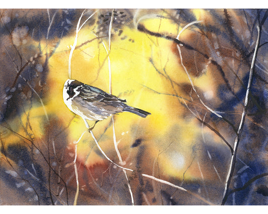 Colorful watercolor painting bird on branch wildlife home decor  trending now art for house giclee (print)