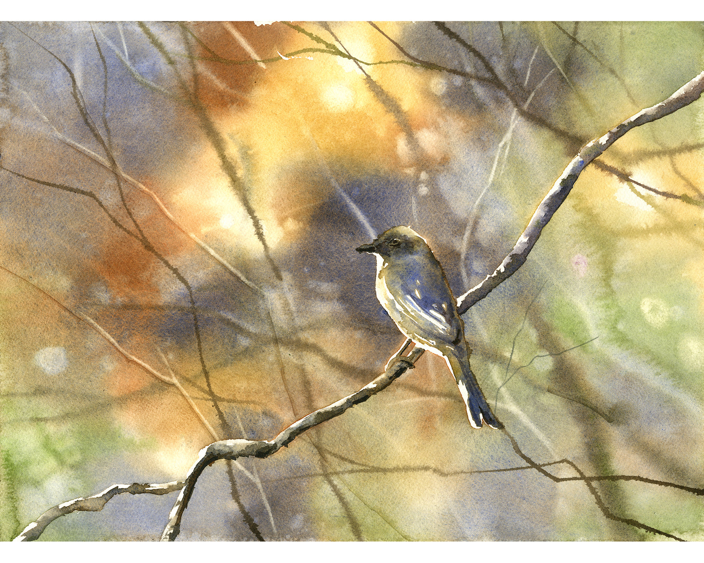 Colorful watercolor bird painting perched on tree branch woodland nature art