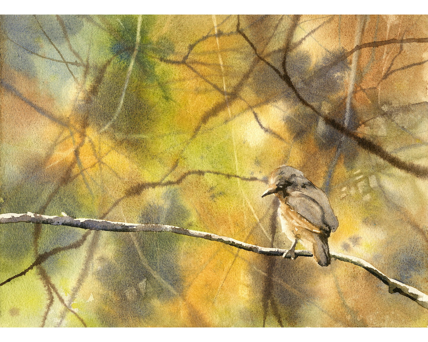 Colorful watercolor bird painting perched on branch nature artwork for kids room decor