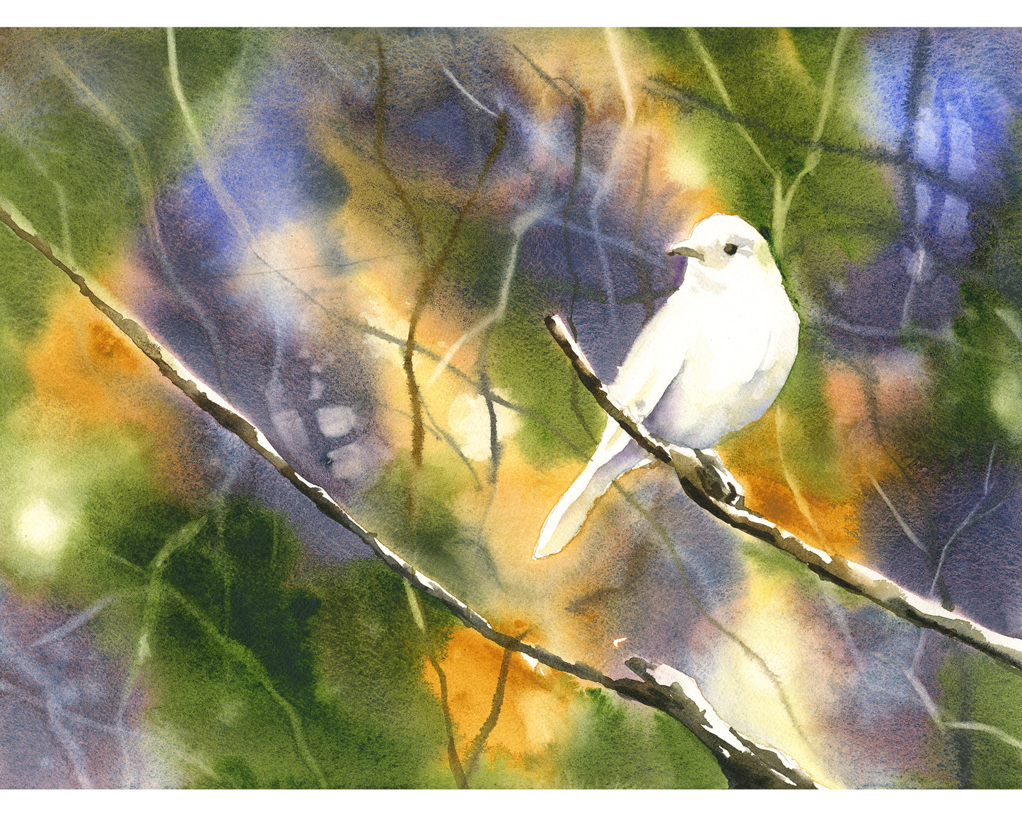 White bird colorful watercolor landscape art (original)