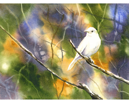 White bird colorful watercolor landscape art (original)