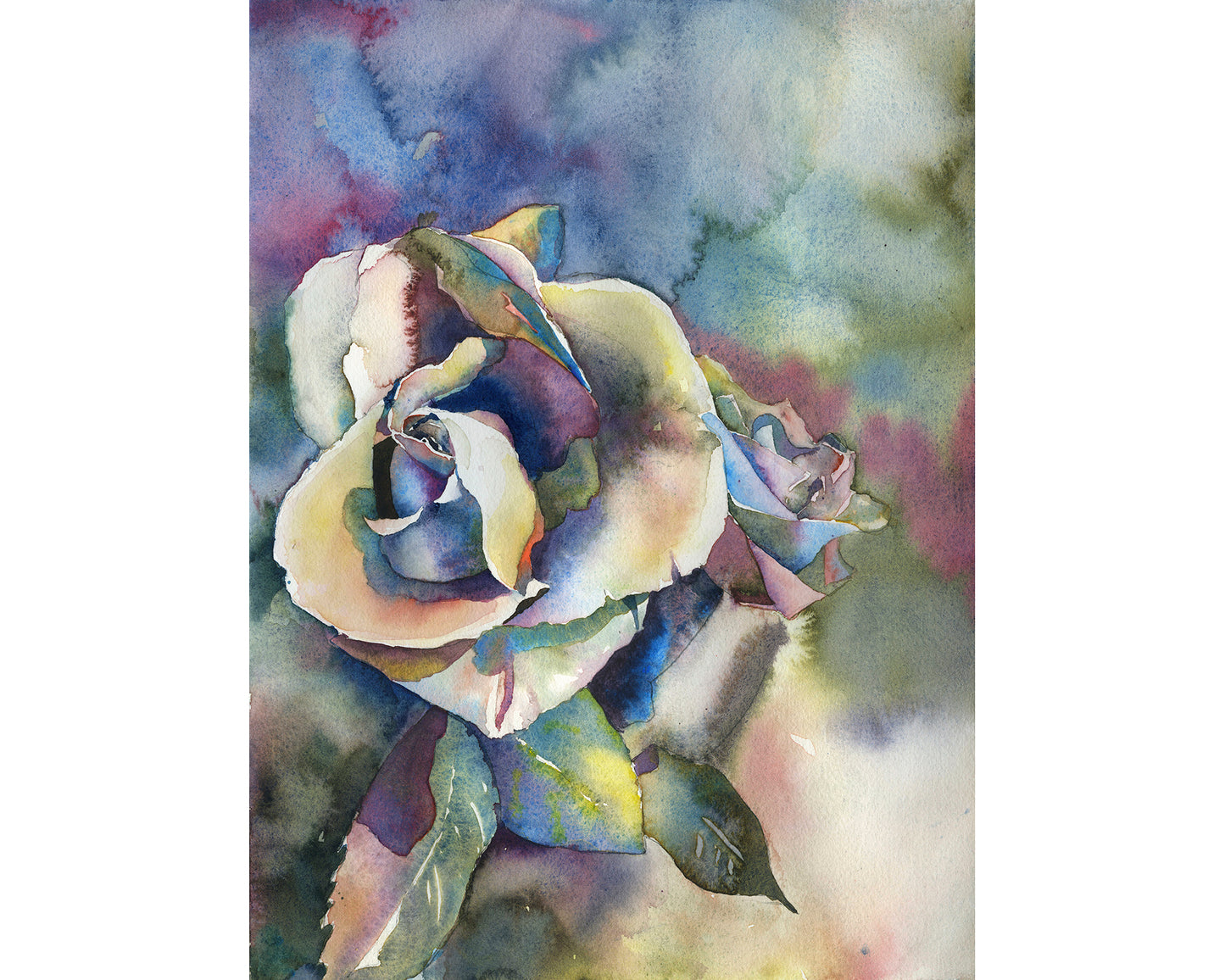 Rose fine art watercolor painting.  Fine art painting of rose colorful artwork rose floral artwork fine art print flower painting