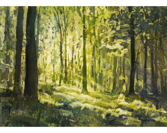Watercolor landscape painting of sunlight streaming through forest trees