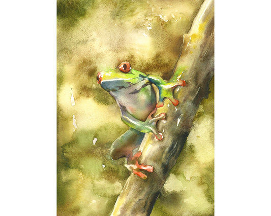 Colorful watercolor painting of a vibrant tree frog, perfect for kids’ room or nature-themed decor.