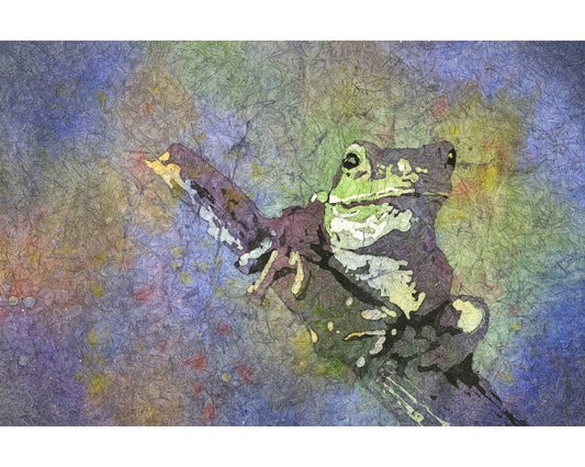 Frog colorful watercolor batik painting outdoor artwork (original)
