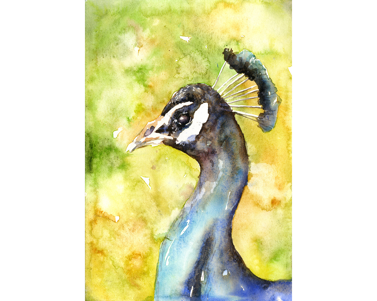 Peacock close-up portrait colorful watercolor kids room decor art for house wall art decor handmade item (original)