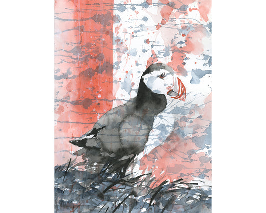 Icelandic puffin fine art watercolor painting.  Watercolor painting Puffin Iceland bird artwork (print)