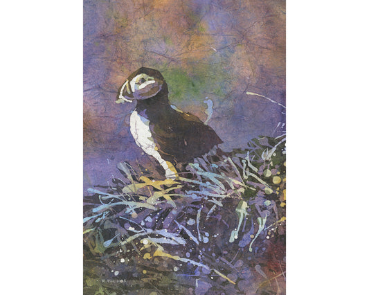 Pintura de acuarela de bellas artes de frailecillo islandés. Ilustraciones de aves de Puffin Islandia (impresión)