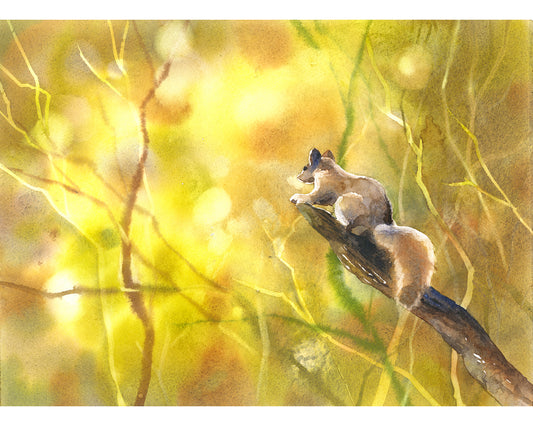 Squirrel watercolor art print featuring a charming woodland animal perched on a branch—ideal nature wall decor for living room or home office spaces.