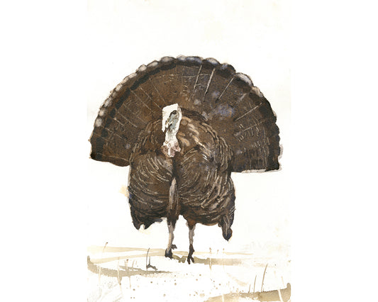 Watercolor painting of a wild turkey with fanned tail feathers – minimalist wildlife art print on white background for rustic farmhouse decor
