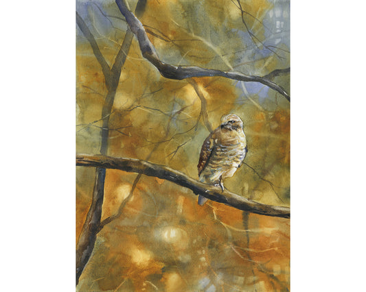 Hawk sitting branch fine art watercolor painting. Wildlife artwork bird painting brown home decor hawk on branch landscape art (print)