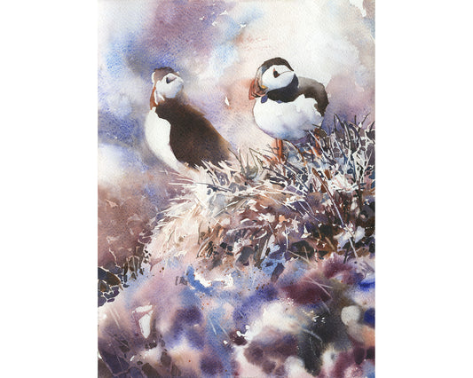Icelandic puffin fine art watercolor painting.  Watercolor painting Puffin Iceland bird artwork (print)