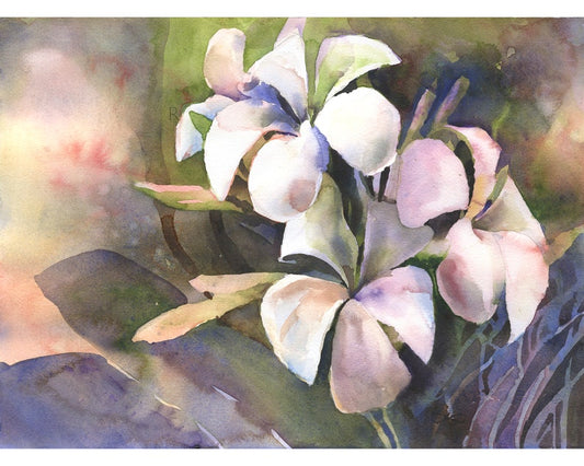 Plumeria fine art watercolor painting.  Watercolor painting plumeria flowers colorful artwork floral fine art watercolor painting flowers