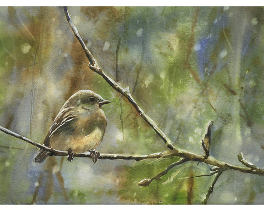 Bird landscape watercolor painting. Small bird artwork home decor bokeh blurry background green nature artwork bird artwork fine art (print)