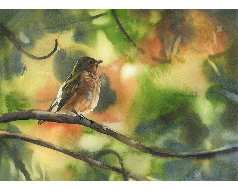 Bird sitting on branch brown green artwork.  Small bird artwork home decor bokeh blurry background green nature artwork bird artwork (print)