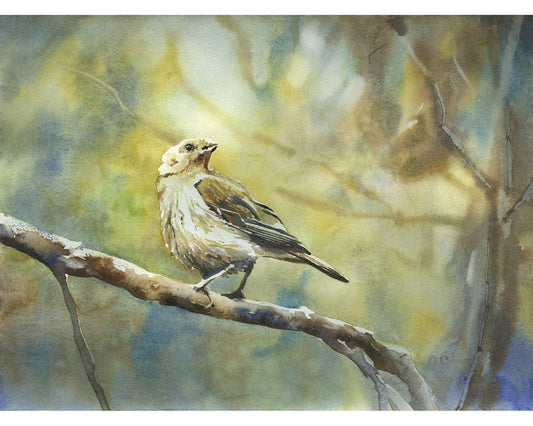 Bird landscape watercolor painting.  Small bird artwork home decor bokeh blurry background green nature artwork bird artwork original art