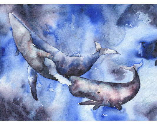 Whale and sperm whale swimming in ocean.  Watercolor painting whales in ocean blue gray nautical artwork sperm whale decor fine art (print)