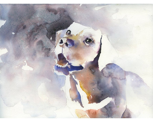 Coloridas ilustraciones de perros de laboratorio. Pintura de acuarela de perro colorido arte de pared retrato de perro pintura acuarela arte canino. Decoración para perros (impresión)