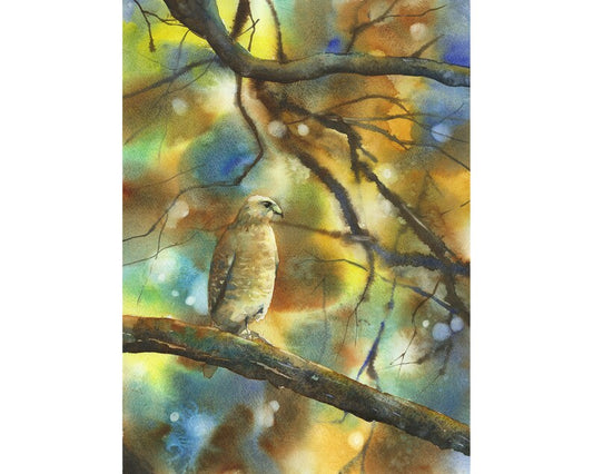 Hawk sitting on branch outside.  Watercolor painting of hawk on branch- hawk artwork painting hawk wildlife photograph art hawk decor (print)