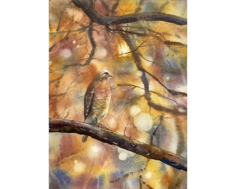 Hawk sitting on branch outside.  Watercolor painting of hawk on branch- hawk artwork painting hawk. Hawk on branch watercolor art (original)