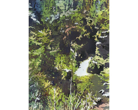 Linville Falls in the Blue Ridge moutains- North Carolina.  Watercolor painting Linville Falls landscape art green painting Linville Gorge (print)