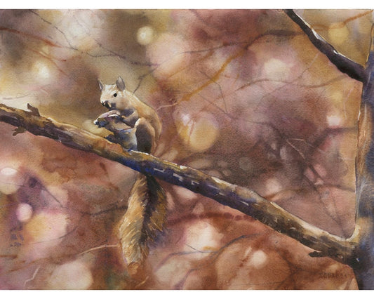 Squirrel sitting on branch.  Squirrel outdoors landscape artwork fine art watercolor squirrel wildlife animal painting brown watercolor art