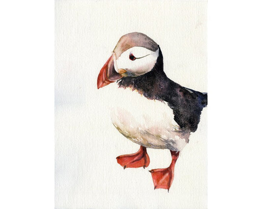Puffin watercolor painting home decor bird.  Watercolor painting Puffin Iceland bird artwork color puffin home decor Iceland puffin (print)