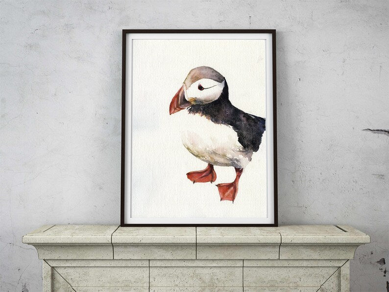 Puffin watercolor painting home decor bird.  Watercolor painting Puffin Iceland bird artwork color puffin home decor Iceland puffin (print)