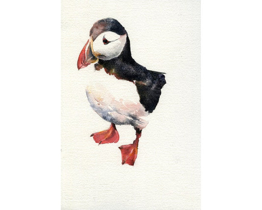 Puffin artwork.  Watercolor painting Icelandic Puffins fine art painting bird Iceland animal wall art home decor Iceland puffin (print)