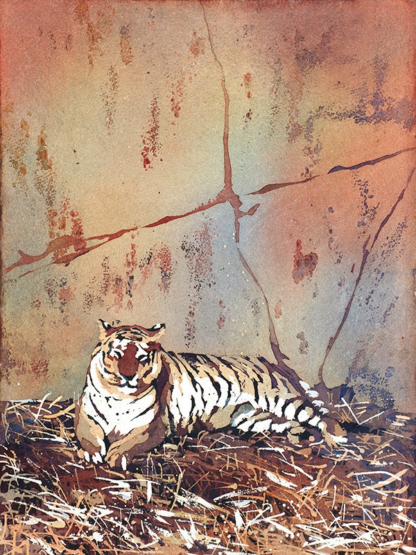 Watercolor painting of tiger lying on ground at Columbus Zoo- tiger art.  Fine art painting of Tiger, wall art Tiger, home decor Tiger art