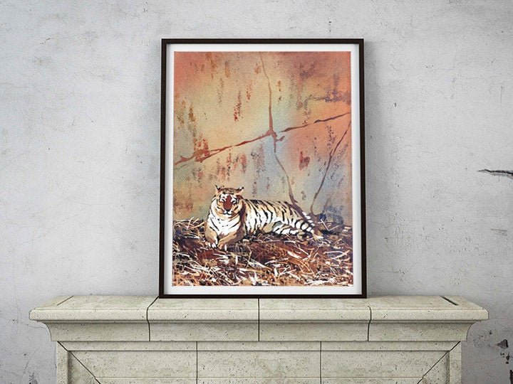 Watercolor painting of tiger lying on ground at Columbus Zoo- tiger art.  Fine art painting of Tiger, wall art Tiger, home decor Tiger art