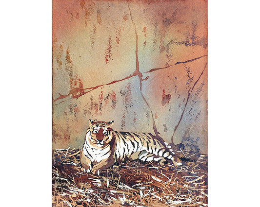 Watercolor painting of tiger lying on ground at Columbus Zoo- tiger art.  Fine art painting of Tiger, wall art Tiger, home decor Tiger art