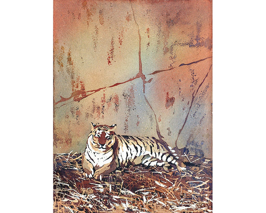 Watercolor painting of tiger lying on ground at Columbus Zoo- tiger art.  Fine art painting of Tiger, wall art Tiger, home decor Tiger art