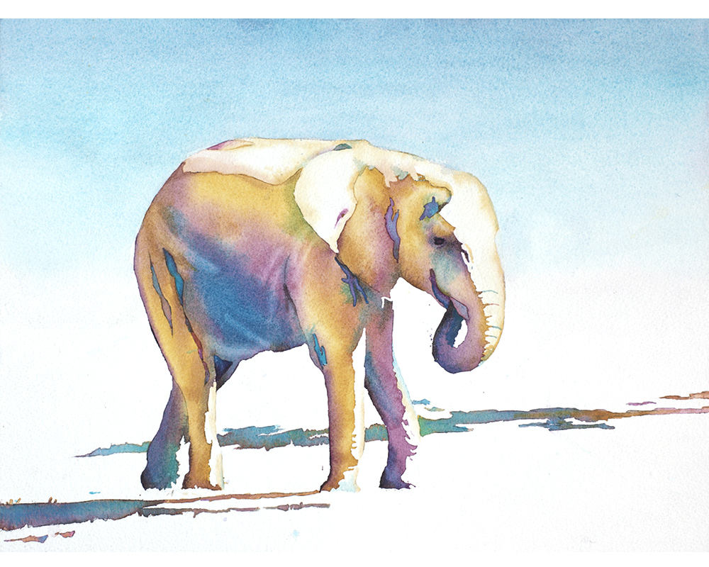 Elephant walking across field- watercolor painting. Colorful watercolor animal art watercolor elephant home decor pachyderm walking fine art (print)