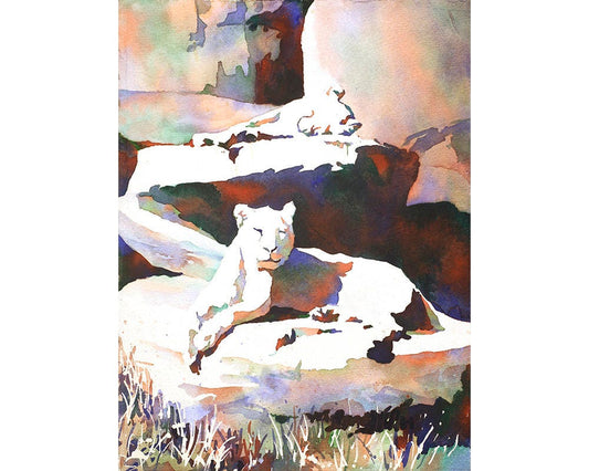 Lions lying on rocks at North Carolina zoo. Lion art watercolor Painting lions art print Lion painting Lion artwork animal watercolor decor (print)