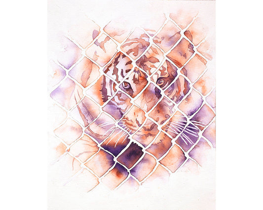 Tiger colorful watercolor painting. Fine art watercolor painting tiger behind fence.  Art giclee, tiger artwork home decor orange blue art