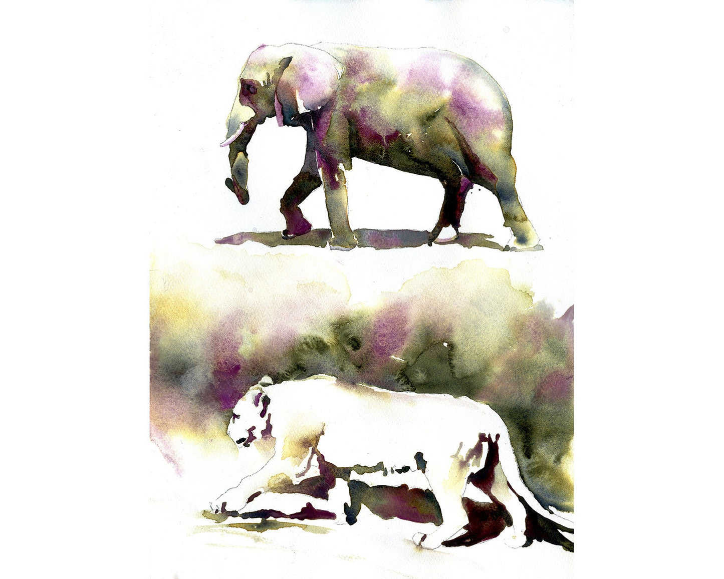 Watercolor painting of elephant and mountain lion.  Animals at zoo, lion art, mountain lion painting, elephant watercolor painting colorful