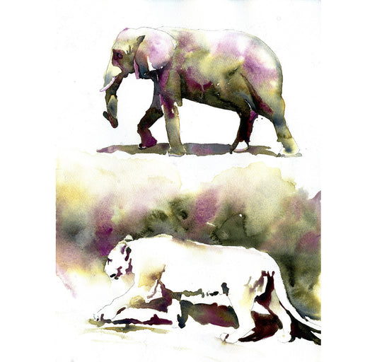Watercolor painting of elephant and mountain lion.  Animals at zoo, lion art, mountain lion painting, elephant watercolor painting colorful