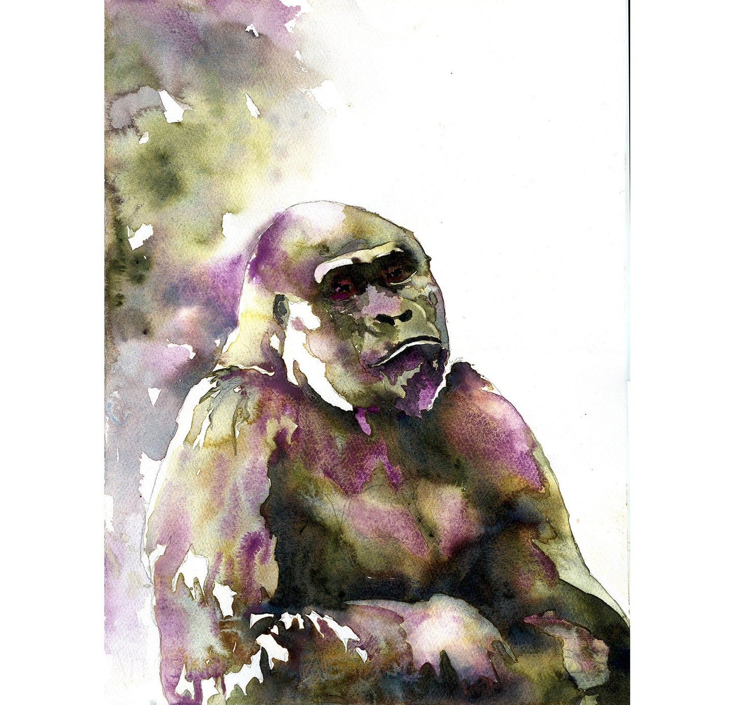 Mountain gorilla watercolor painting.  Painting of mountain gorilla green red artwork watercolor giclee gorilla fine art painting home decor