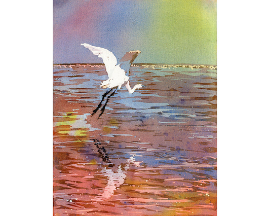 Jamaican crane flying over water in Montego Bay.  Watercolor painting crane art bird Jamaica.  Original watercolor painting